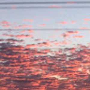 Meet your Posher, Brock